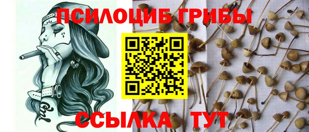 Каспийск  Псилоцибиновые грибы ЛСД  Вход с VPN 